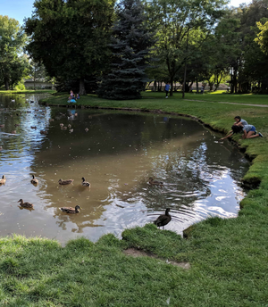 Corporate stay suites in Provo