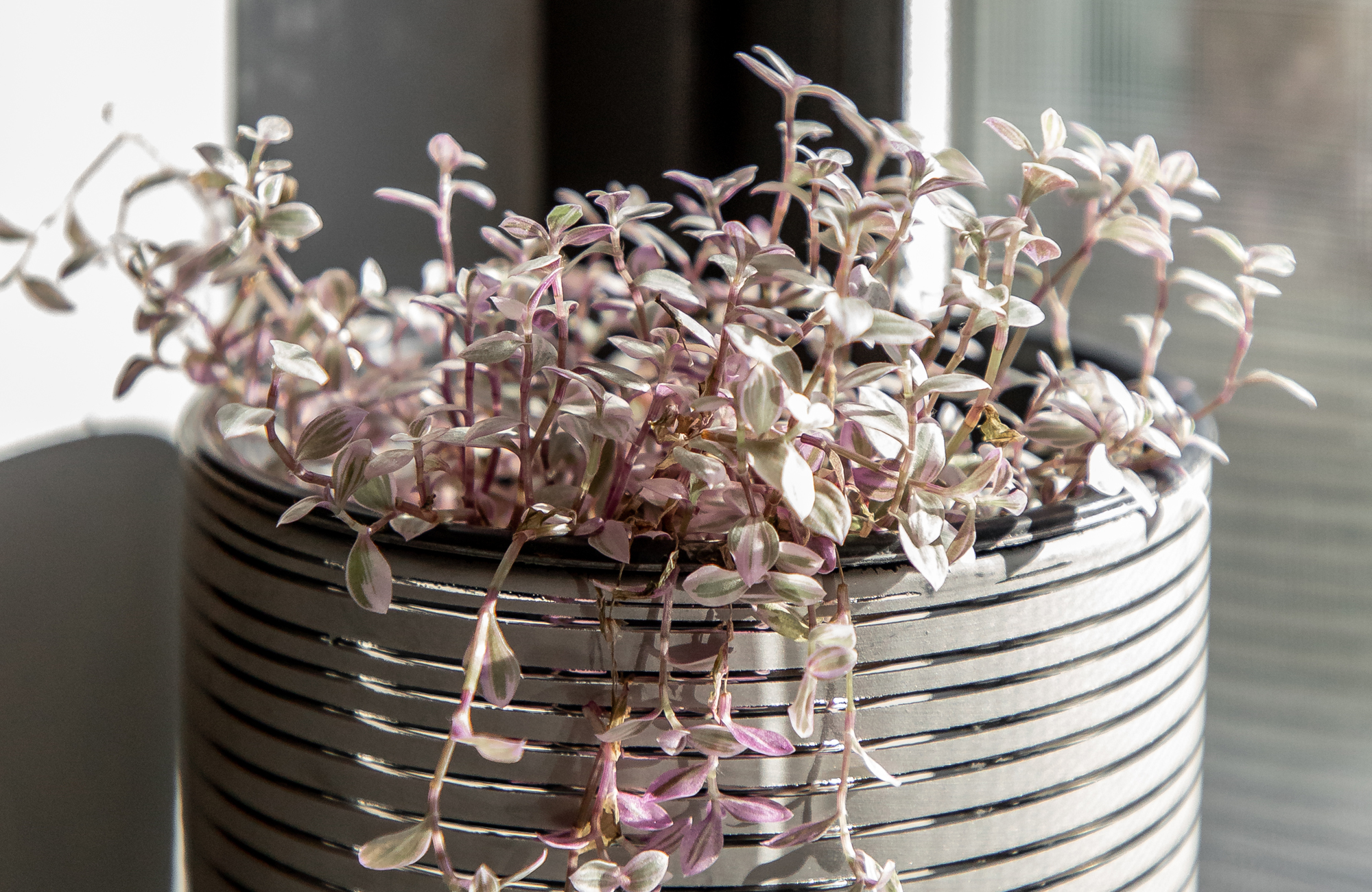 The views are amazing