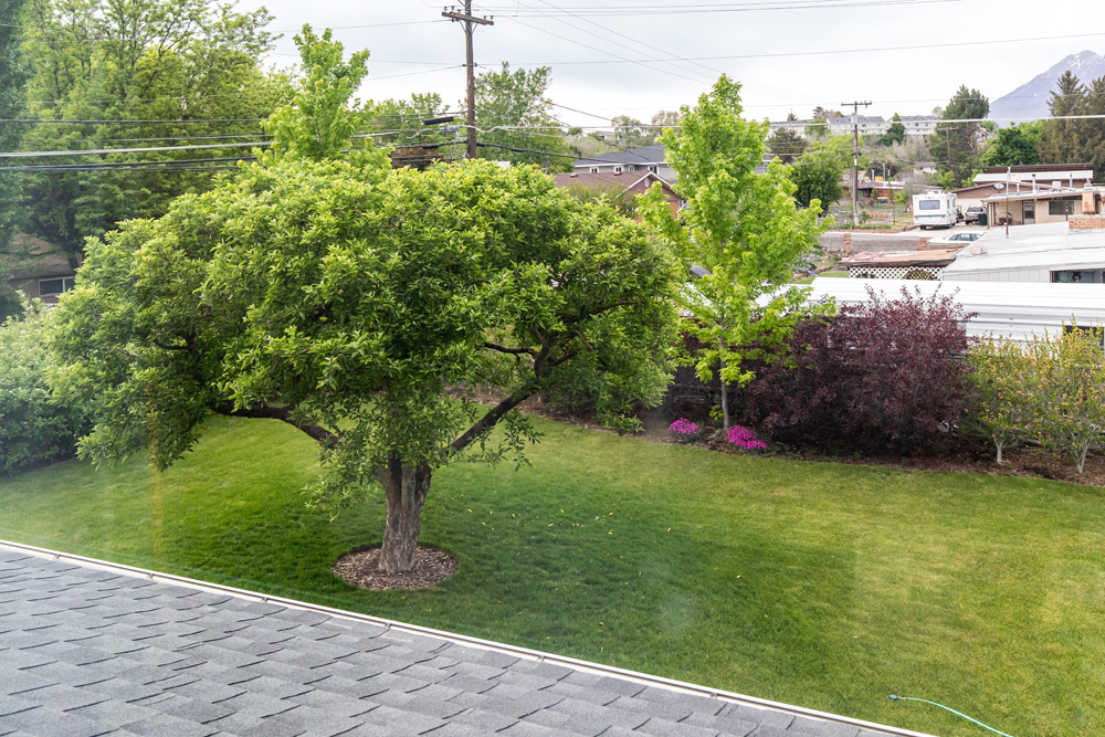 Reclaimed wood decor